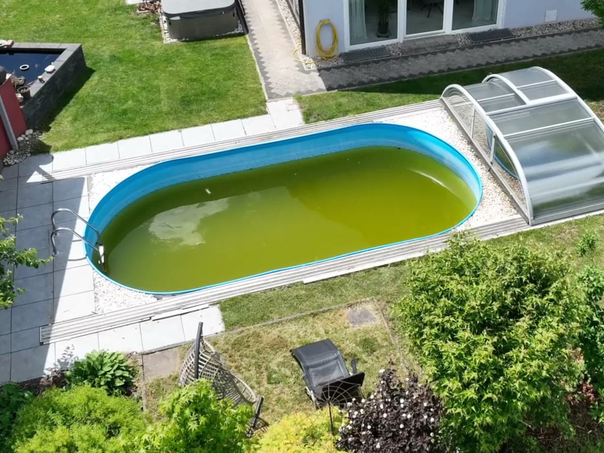 Avant rénovation : bassin ovale à l’eau verdie, ancien liner bleu fatigué