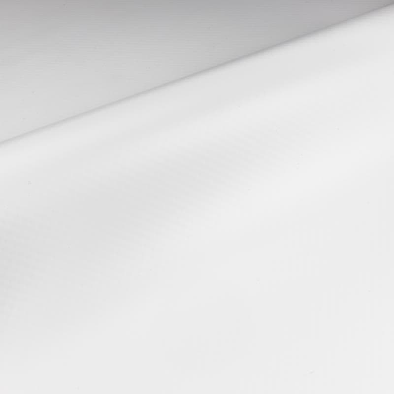 Texture Blanc — RENOLIT Alkorplan